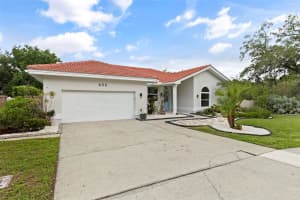 606 TOMOKA DRIVE, PALM HARBOR, FL 34683 - MLS#MFRTB8498220