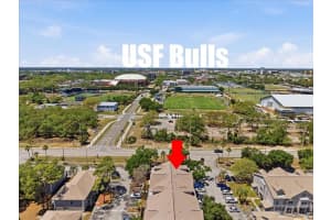 5007 SUNRIDGE PALMS DRIVE, TAMPA, FL 33617 - MLS#MFRTB8498246