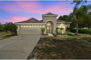 13514 Majestic Pine Way, RIVERVIEW