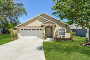 1073 SHEELER HILLS DRIVE, APOPKA, FL 32703 - MLS#MFRTB8498343