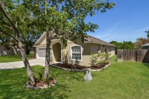 1073 SHEELER HILLS DRIVE, APOPKA, FL 32703 - MLS#MFRTB8498343