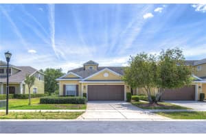 8507 Sandpiper Ridge Ave, TAMPA