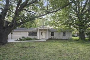 11836 ORANGE STREET, SAN ANTONIO, FL 33576 - MLS#MFRTB8498380