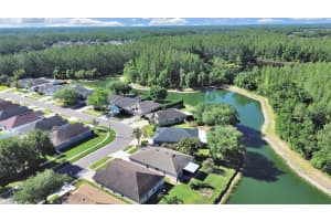 30612 NICKERSON LOOP, WESLEY CHAPEL, FL 33543 - MLS#MFRTB8498381