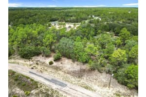 6688 SAND DRIVE, DUNNELLON, FL 34433 - MLS#MFRTB8498387