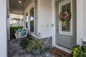 15166 RENAISSANCE AVENUE, ODESSA, FL 33556 - MLS#MFRTB8498392