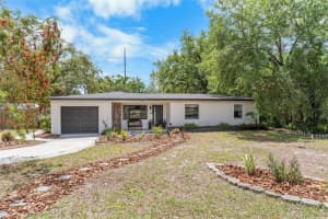 1502 W Meadowbrook Ave, TAMPA