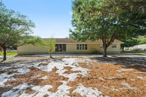 4341 ALISON STREET, BROOKSVILLE, FL 34602 - MLS#MFRTB8498405