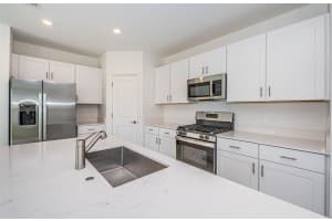 22310 BLAZING STAR RUN, LAND O LAKES, FL 34637 - MLS#MFRTB8498452