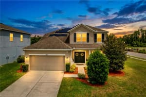 5446 ANGELONIA TERRACE, LAND O LAKES, FL 34639 - MLS#MFRTB8498481