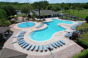 5446 ANGELONIA TERRACE, LAND O LAKES, FL 34639 - MLS#MFRTB8498481