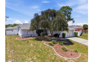 2239 ARMADILLO AVENUE, SPRING HILL, FL 34609 - MLS#MFRTB8498495