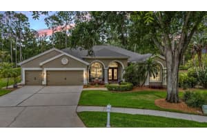 3596 FLORIAN TERRACE, PALM HARBOR, FL 34685 - MLS#MFRTB8498502