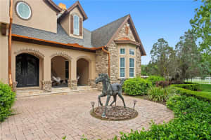 11410 TROTTING DOWN DRIVE, ODESSA, FL 33556 - MLS#MFRTB8498512