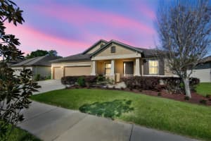 11014 BRAHMAN RANCH CIRCLE, RIVERVIEW, FL 33578 - MLS#MFRTB8498566