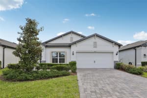 7114 GULF CYPRESS AVENUE, LAND O LAKES, FL 34637 - MLS#MFRTB8498568