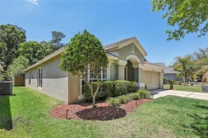 5833 WAR ADMIRAL DRIVE, WESLEY CHAPEL, FL 33544 - MLS#MFRTB8498639