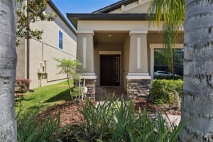 19546 WHISPERING BROOK DRIVE, TAMPA, FL 33647 - MLS#MFRTB8498662