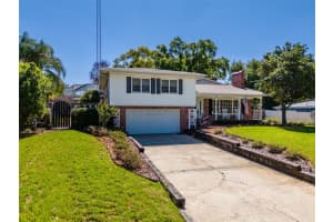 805 SYLVAN DRIVE, BRANDON, FL 33510 - MLS#MFRTB8498672