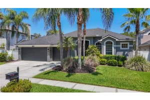 12919 FRAMINGHAM COURT, TAMPA, FL 33626 - MLS#MFRTB8498694