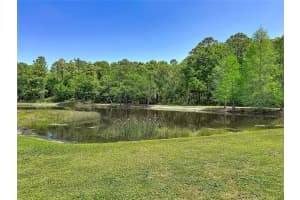 12919 FRAMINGHAM COURT, TAMPA, FL 33626 - MLS#MFRTB8498694