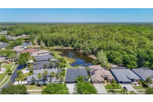 12919 FRAMINGHAM COURT, TAMPA, FL 33626 - MLS#MFRTB8498694