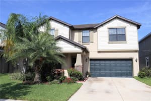 12311 Ballentrae Forest Dr, RIVERVIEW