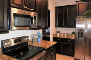 12311 BALLENTRAE FOREST DRIVE, RIVERVIEW, FL 33579 - MLS#MFRTB8498710