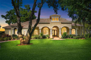 9901 MENANDER WOOD COURT, ODESSA, FL 33556 - MLS#MFRTB8498715