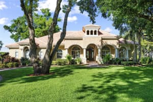 9901 MENANDER WOOD COURT, ODESSA, FL 33556 - MLS#MFRTB8498715