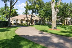 9901 MENANDER WOOD COURT, ODESSA, FL 33556 - MLS#MFRTB8498715