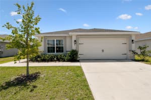 105 BLUE ALICE SPRING COURT, RUSKIN, FL 33570 - MLS#MFRTB8498730