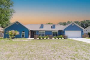 3908 ROSEDALE DRIVE, BRANDON, FL 33511 - MLS#MFRTB8498735