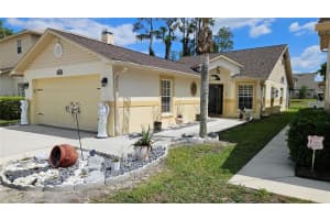 6053 Gentle Ben Cir, WESLEY CHAPEL