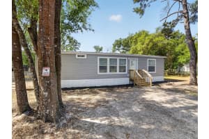 34938 PUNCH ROAD, DADE CITY, FL 33523 - MLS#MFRTB8498752