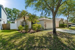 8311 TORRINGTON AVENUE, TAMPA, FL 33647 - MLS#MFRTB8498755