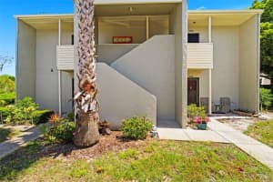 404 WINDRUSH BAY DRIVE, TARPON SPRINGS, FL 34689 - MLS#MFRTB8498757