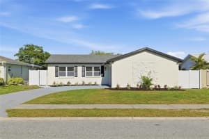 1423 CHESTERFIELD DRIVE, DUNEDIN, FL 34698 - MLS#MFRTB8498758