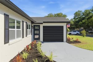 1423 CHESTERFIELD DRIVE, DUNEDIN, FL 34698 - MLS#MFRTB8498758