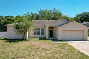 1033 MORNING STAR DRIVE, LAKELAND, FL 33810 - MLS#MFRTB8498759