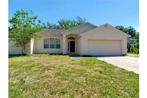 1033 MORNING STAR DRIVE, LAKELAND, FL 33810 - MLS#MFRTB8498759