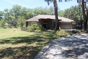 19150 LIVINGSTON AVENUE, LUTZ, FL 33559 - MLS#MFRTB8498760