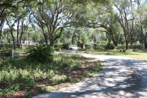 19150 LIVINGSTON AVENUE, LUTZ, FL 33559 - MLS#MFRTB8498760