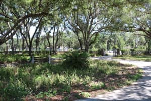 19150 LIVINGSTON AVENUE, LUTZ, FL 33559 - MLS#MFRTB8498760