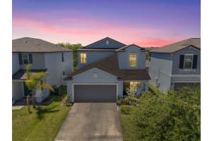 3703 Globe Thistle Dr, TAMPA