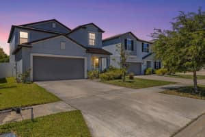 3703 GLOBE THISTLE DRIVE, TAMPA, FL 33619 - MLS#MFRTB8498776