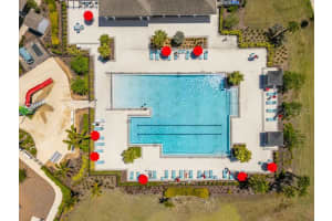 3703 GLOBE THISTLE DRIVE, TAMPA, FL 33619 - MLS#MFRTB8498776