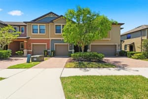 16948 STORYLINE DR, LAND O LAKES, FL 34638 - MLS#MFRTB8498787