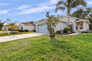 11704 NEW HAVEN DRIVE, SPRING HILL, FL 34609 - MLS#MFRTB8498801