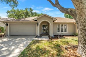 5810 BITTER ORANGE AVENUE, TAMPA, FL 33625 - MLS#MFRTB8498828
